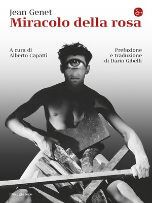 cover image of Miracolo della rosa